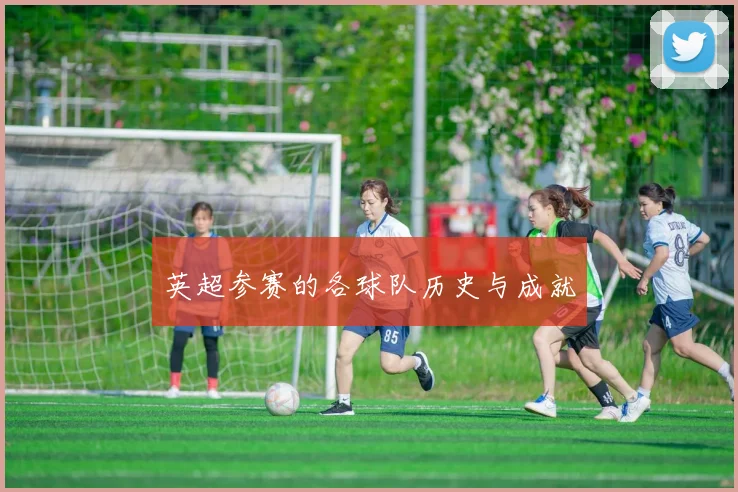 英超参赛的各球队历史与成就