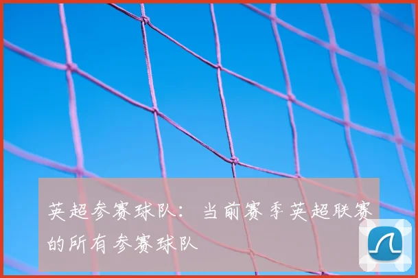 英超参赛球队:当前赛季英超联赛的所有参赛球队