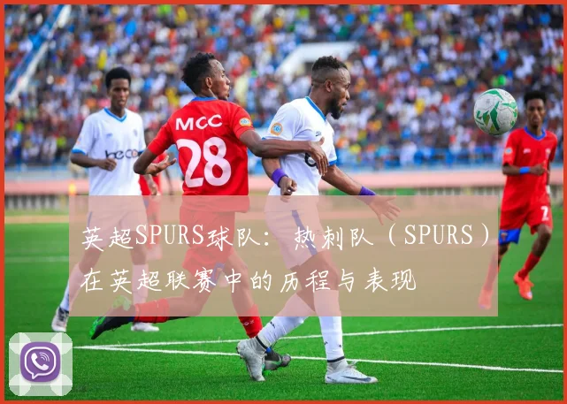 英超SPURS球队：热刺队（SPURS）在英超联赛中的历程与表现