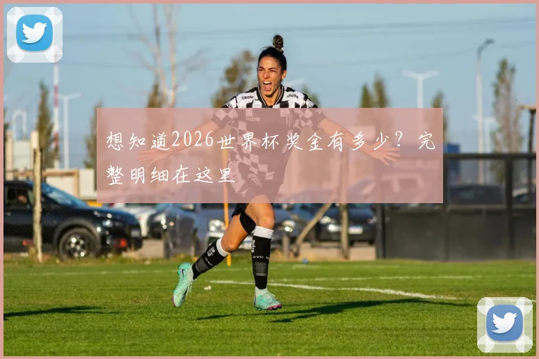 想知道2026世界杯奖金有多少？完整明细在这里