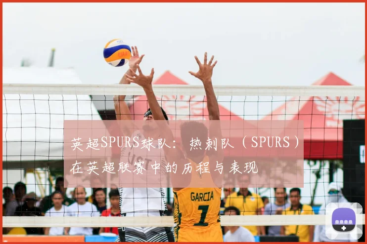 英超SPURS球队：热刺队（SPURS）在英超联赛中的历程与表现